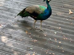 -天乐农家鱼头王(天目湖店)