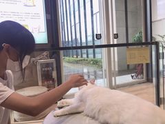 -瞄一喵猫咖(格力海岸店)
