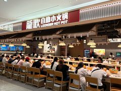 -汇德隆银隆