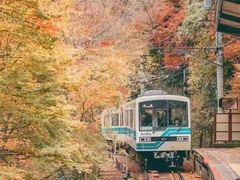 -7分甜(江宁万达店)