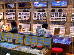 -三叶眼镜城批发市场(上海火车站店)
