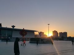 -闫涛羊杂可(总店)