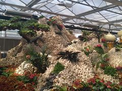 -兰陵国家农业公园