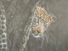 -罗红摄影艺术馆