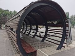 -永定河休闲森林公园