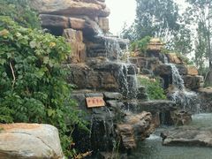 -武清南湖绿博园