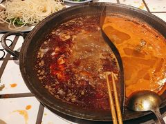 -朱光玉火锅馆(正弘城店)