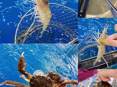 -SHRIMP CLUB万东餐饮钓虾·清吧