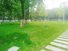 -重庆市江北嘴中央商务区中央公园