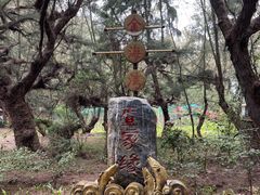 -北海金海湾红树林生态旅游区