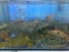 -钱塘府海鲜餐厅