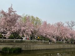 -元大都城垣遗址公园