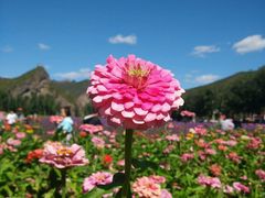 android_upload_pic-百里山水画廊乌龙峡谷