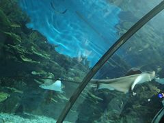 -福州罗源湾海洋世界旅游区