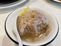 -丁老爷子苏香圆