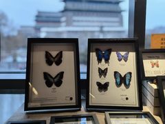 -PAGEONE(北京坊店)