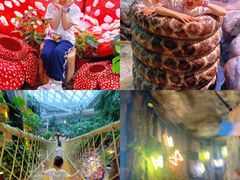 -正佳雨林生态植物园
