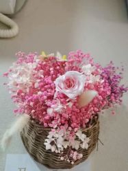 -玛尼瑜伽·普拉提