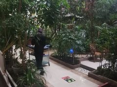 -新世纪绿洲(抚顺店)