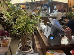 -苏小柳点心·手作小笼包(浦东嘉里城分院)