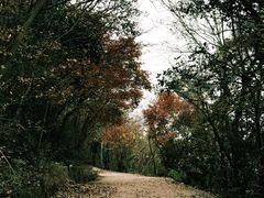 -紫金山索道-售票处