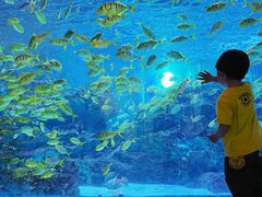-海合安成都极地海洋公园