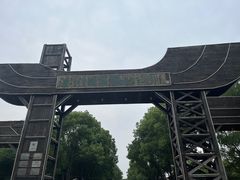 -溱湖国家湿地公园