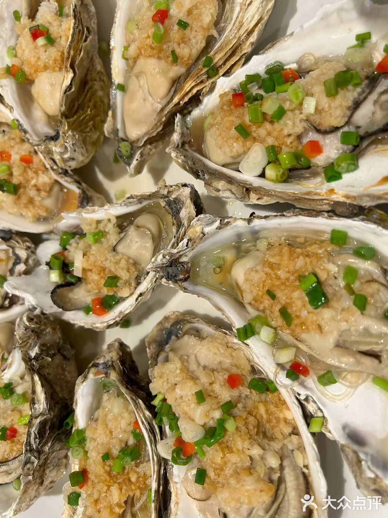 连鹭海鲜古法蒸龙胆做法超绝！鲜美掉牙齿！