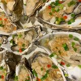 连鹭海鲜古法蒸龙胆做法超绝！鲜美掉牙齿！