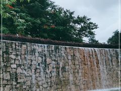 -纪念孙中山市政公园