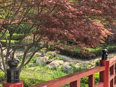 -大连植物园