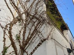 -衣裳街历史文化街区