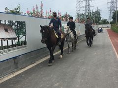 -上海长兴岛郊野公园