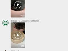 -派美特宠物医院·核磁CT·骨科肿瘤·疑难转诊(沈农禾丰店)