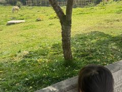 -青藏高原野生动物园