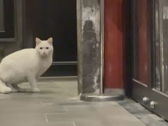 -管氏翅吧(护国寺店)