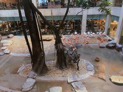 -麒麟中餐厅·经典粤菜·地道菜式老字号(广州长隆酒店)