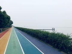 -贡湖湾湿地公园