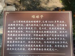 -红螺寺