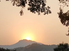 -金凤成祥(西罗园店)