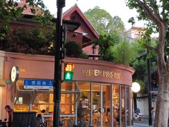 -WHEN PIGS FLY当猪飞