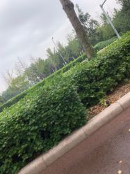 -HEYAN长风荷妍专业脱毛美肤
