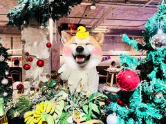-三秋舍·梦幻岛(小西路店)