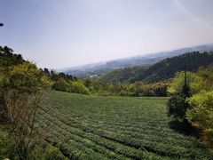-敬亭山风景名胜区