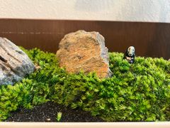 -水之惠鲜鱼料理(王府大街店)