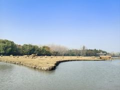 -溱湖国家湿地公园