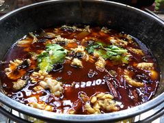 水煮乌鱼花-重庆乌鱼庄·龙滋鲜(青羊大道店)