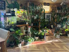 -Rabbit Cafe私房西餐甜点咖啡(栖霞路店)