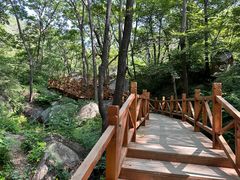 -大岭沟猕猴桃谷风景区