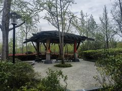 -黄兴公园
